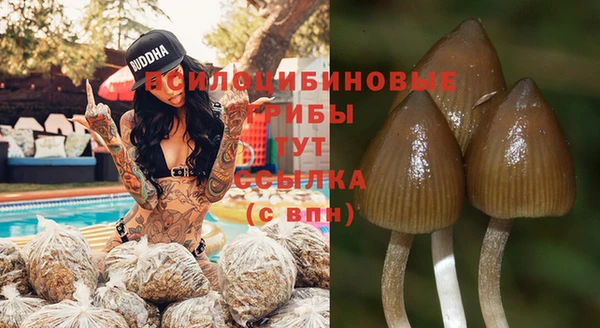 гидропоника Балахна