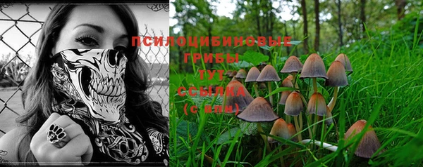 гидропоника Балахна