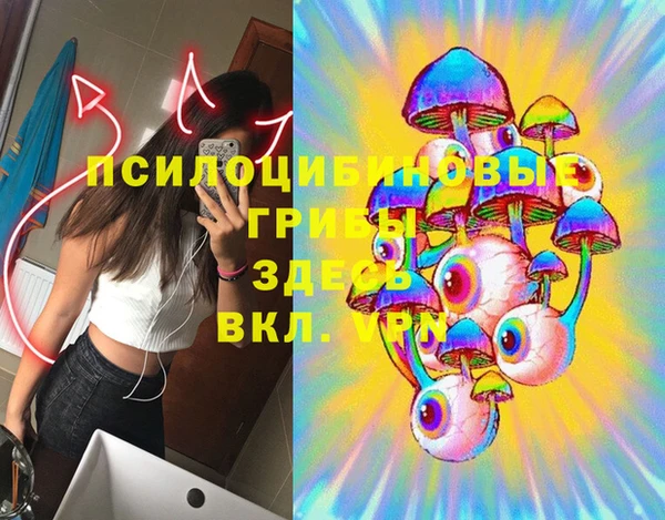 гидропоника Балахна