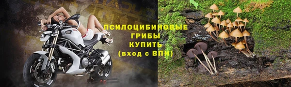 амф Баксан